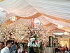tenda roder vip event wedding.  
https://tendapesta-kazoku.com