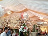 tenda roder vip event wedding.  
https://tendapesta-kazoku.com